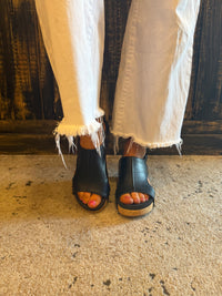 Corky's Volta II - Black