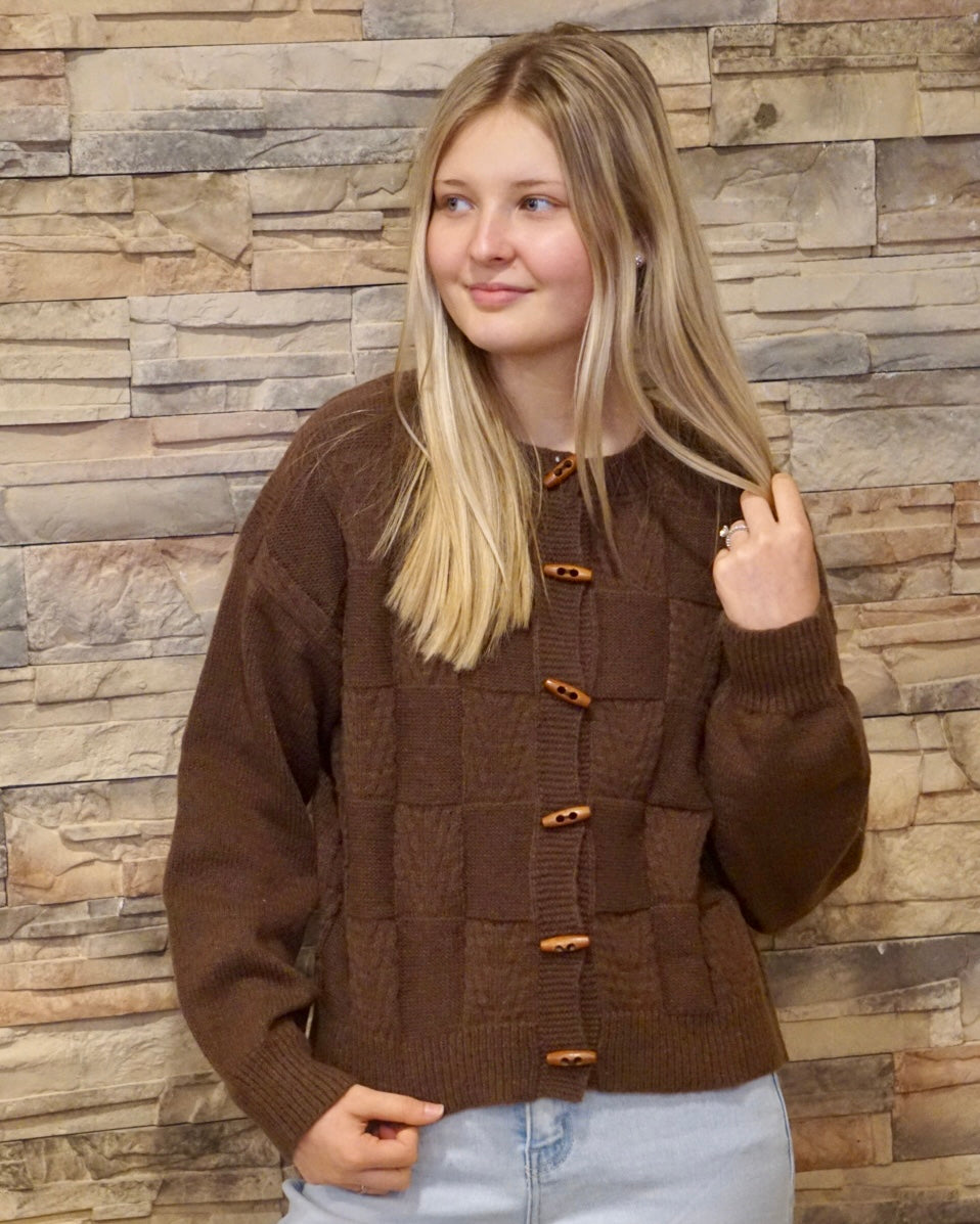 Checkered Button Down Cardigan - Brown