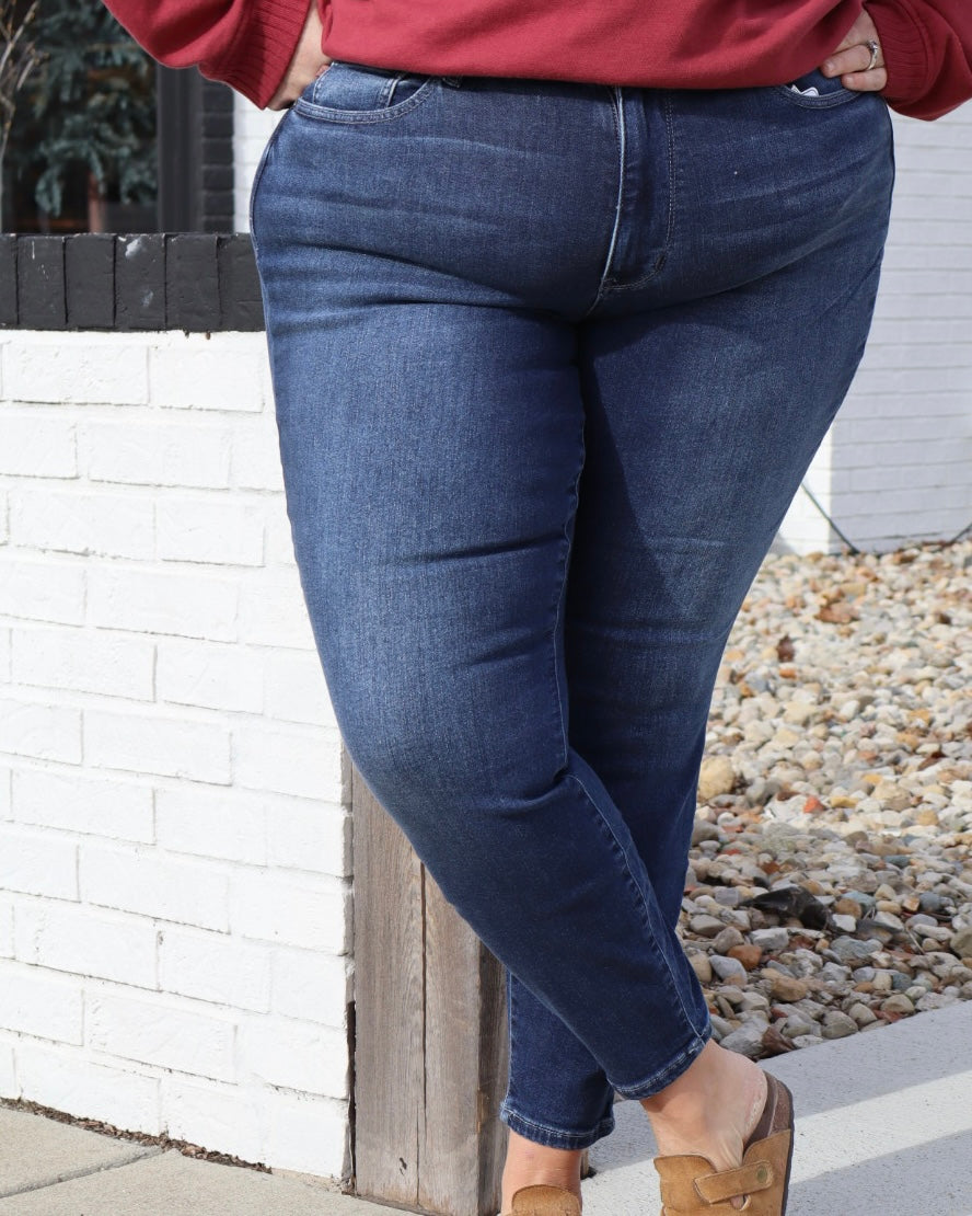 Judy Blue - Plus High Waisted Skinny Jeans