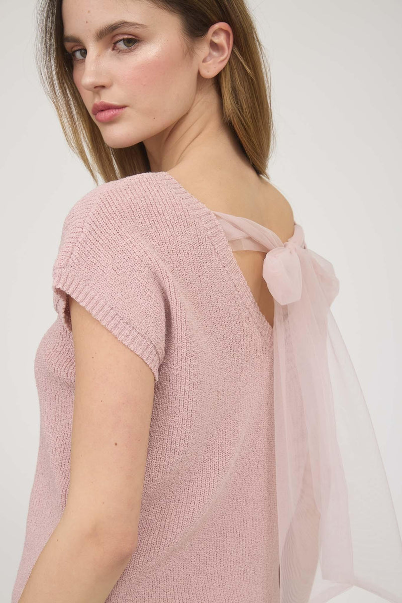 Back Sheer Tie Short Sleeve Sweater