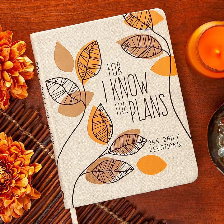 For I Know the Plans