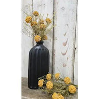 Yellow Yarrow