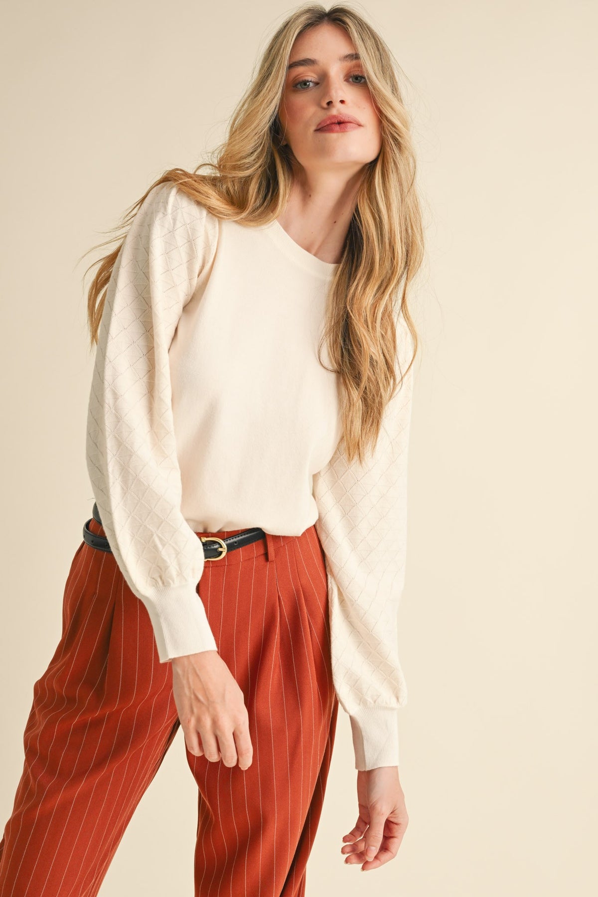 Pointelle Sleeve Sweater