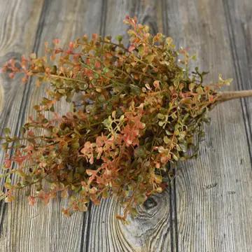 Fall Peppergrass
