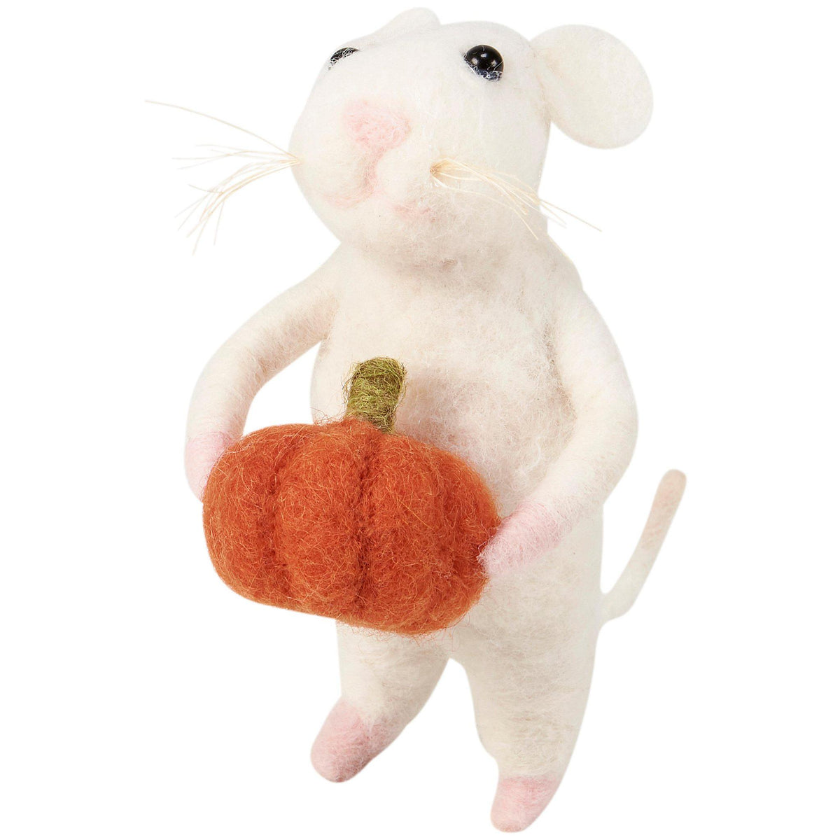 Fall Critters