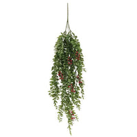 Lady Ruscus & Berries Bush