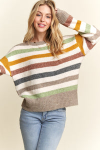 Plus Multicolor Stripe Sweater