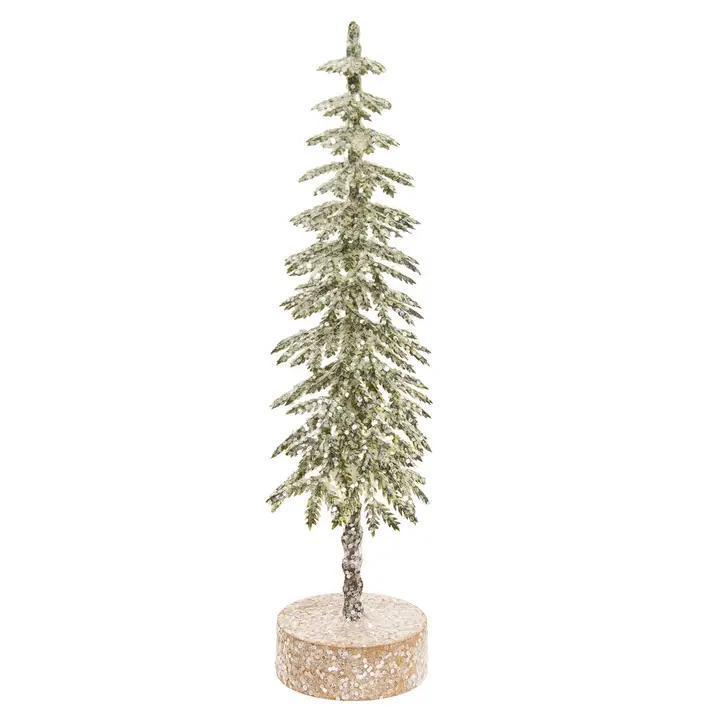 Shortleaf Pine Tabletop Tree