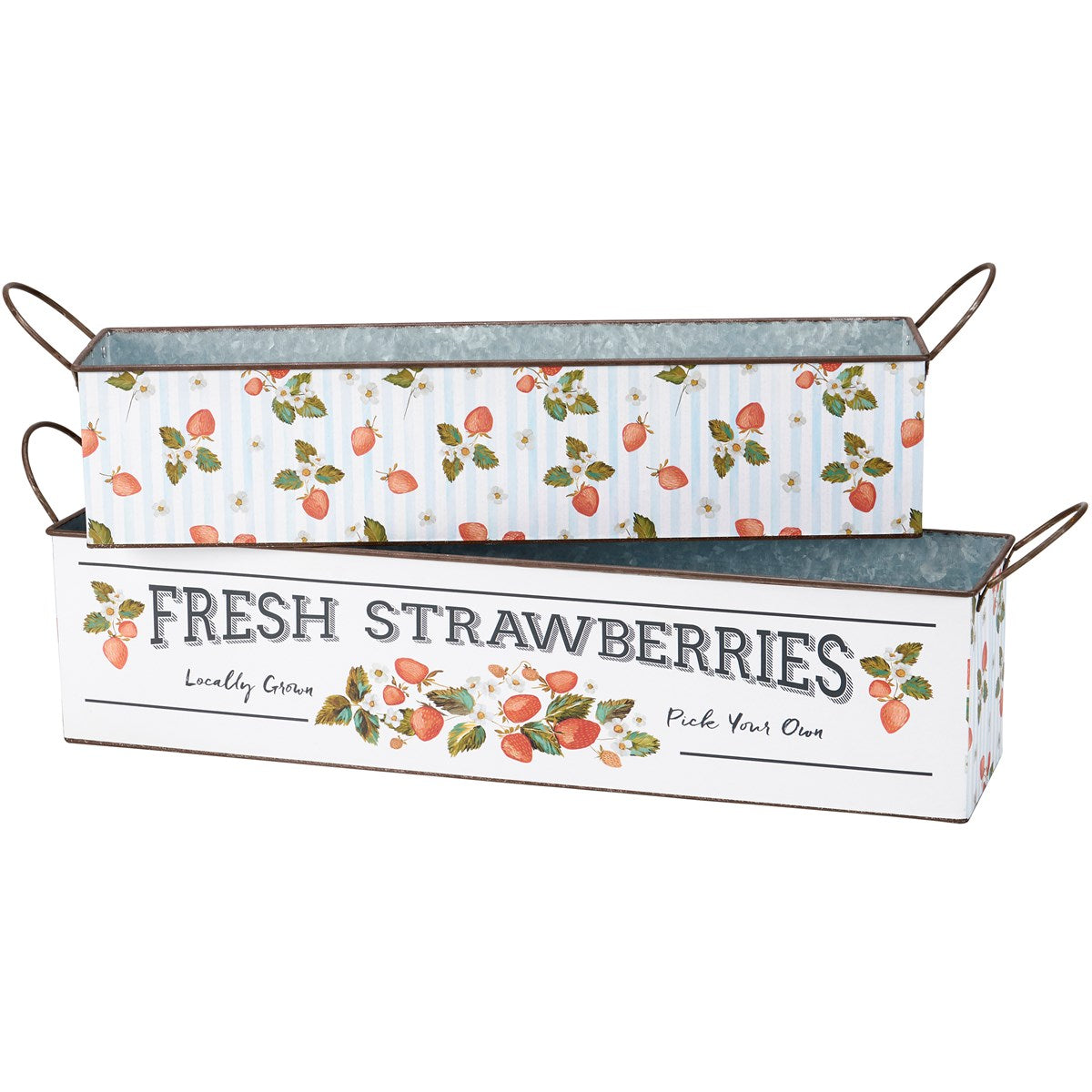Fresh Strawberries Bin