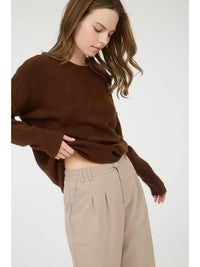 Plus Solid Crewneck Knit Sweater - Brown