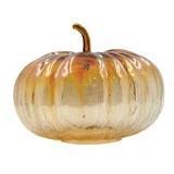 Glass Pumpkin w/ Stem